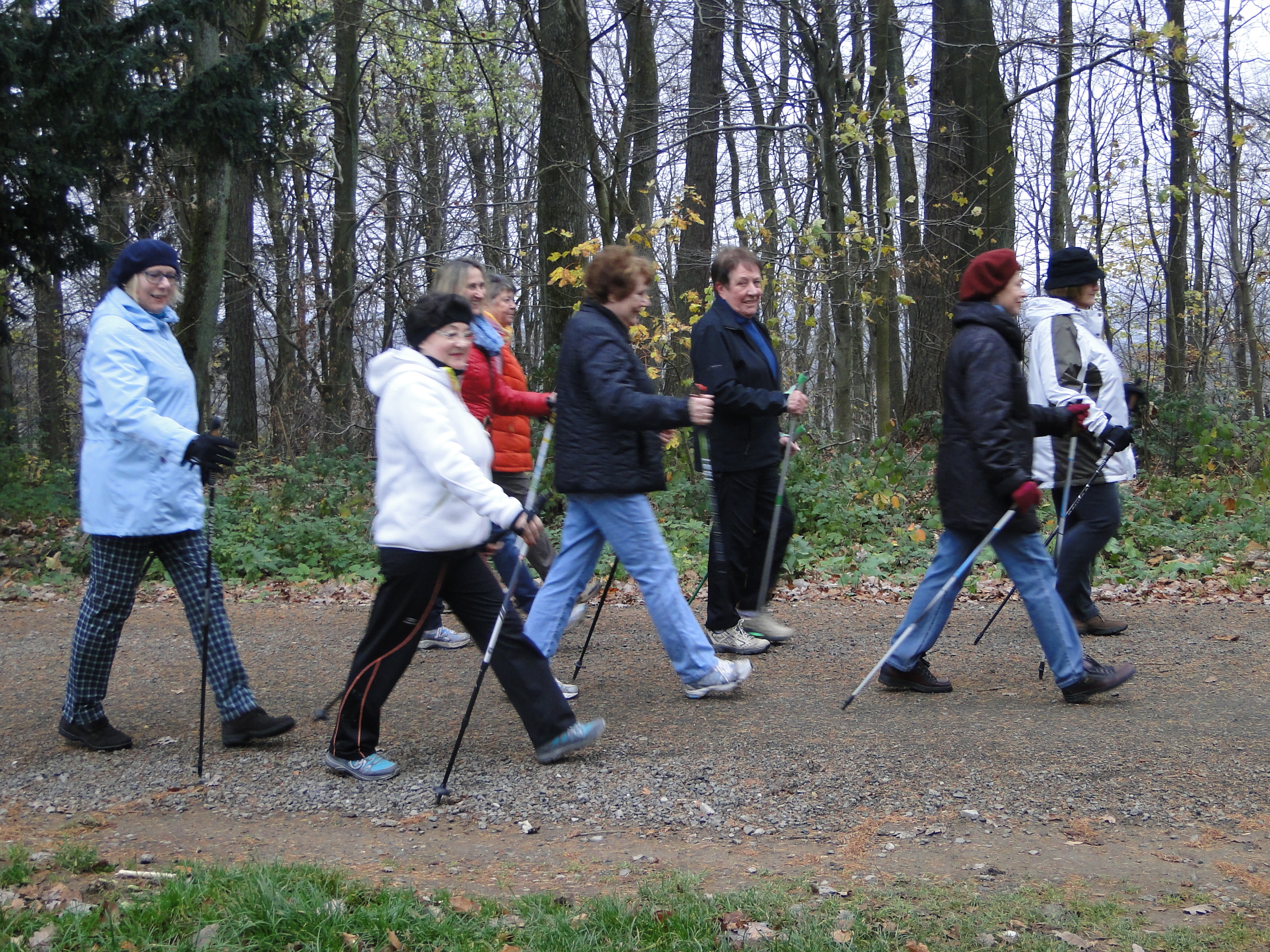 Nordic-Walking mit der Seniorenberatung. Foto: Diakonisches Werk an der Saar gGmbH